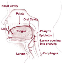 Start curing bad breath
